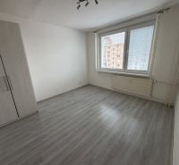 Ein Zimmer in einer Einzimmerwohnung mit einem Boden in Holzoptik und weißen Wänden.
