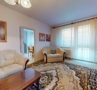 Wohnzimmer in einer 3-Zimmer-Wohnung mit einem bequemen Sofa und Blick durch große Fenster.