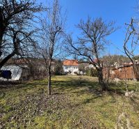 Ein Garten im Bezirk Banská Bystrica rund um ein Einfamilienhaus mit Rasen und Bäumen.