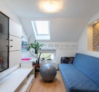 Ein Zimmer in einem Einfamilienhaus mit einem blauen Sofa, einem Boden in Holzoptik und einem Dachfenster.