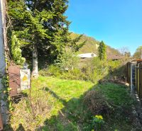 Ein Garten im Stadtteil Krásna in der 1. mája-Straße mit Nadelbäumen und Rasen.