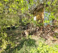 Ein Garten in Košice - Stadtteil Krásna in der 1. mája Straße, umgeben von Grün und Bäumen.