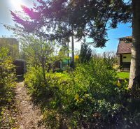 Garten in der Ul. 1. mája, Košice - Stadtteil Krásna, umgeben von Bäumen und Sträuchern.
