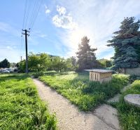 Garten mit Rasenwegen bei einem Einfamilienhaus in Šoporňa.