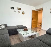 Wohnzimmer in einer 2-Zimmer-Wohnung mit einem Sofa, einem Glastisch und einem Boden in Holzoptik.