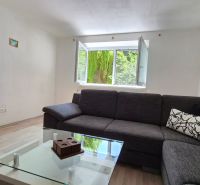 Wohnzimmer mit Sofa, Glastisch und Fenster in einer Zweizimmerwohnung, Boden mit Holzdekor.