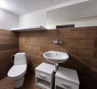 Badezimmer mit Holzboden und Sanitäranlagen in einem Einfamilienhaus.