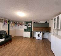 Einfamilienhaus mit Sofa, Waschmaschine und Trophäen auf dem Regal. Boden mit Holzdekor.
