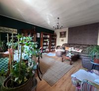 Wohnzimmer in einem Einfamilienhaus mit Sofa, Bücherregal und Pflanzen, Boden mit Holzdekor.