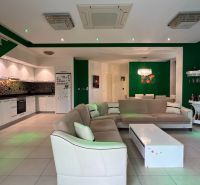 Ferienwohnung mit grünen Wänden, weißer Küche, Sofa und abwaschbarem Boden.