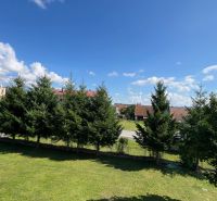 Ein gepflegter Rasen und Bäume mit blauem Himmel in Pribylina hinter einer 3-Zimmer-Wohnung.