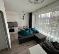 1-Zimmer-Wohnung mit Küche, grauem Sofa und Holzboden.