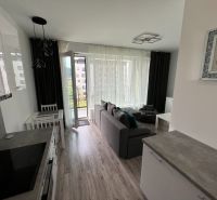 1-Zimmer-Wohnung mit Holzboden, Küche, Sofa und direktem Zugang zur Terrasse.