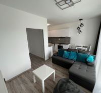 Wohnzimmer in einer Einzimmerwohnung mit Holzboden und grauem Sofa.