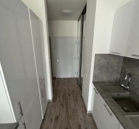 Küchenzeile in einer Einzimmerwohnung mit grauem Spülbecken und Boden in Holzoptik.