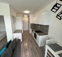 1-Zimmer-Wohnung mit Küchenzeile, Esstisch und Boden in Holzoptik.