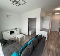 Wohnzimmer mit Sofa, Holzboden und weißen Möbeln in einer Einzimmerwohnung.