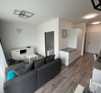 Wohnzimmer mit Sofa, Holzboden und Küchenzeile in einem Einzimmerapartment.