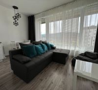 Wohnzimmer mit Sofa, weißem Tisch und Holzboden in einer Einzimmerwohnung.