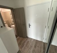 Innenraum mit Eingangstür, Schiebetürenschrank und Boden mit Holzdekor in einer Einzimmerwohnung.