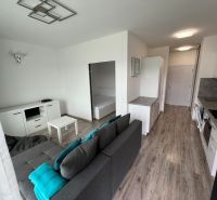 Wohnzimmer in einer Einzimmerwohnung mit Küche, Sofa und Holzboden.