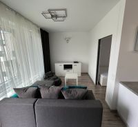 Wohnzimmer in einer Einzimmerwohnung mit Holzboden und grauem Sofa.