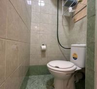 Toilette in einem Ferienapartment mit Fliesen bis zur halben Wand, grüne Fliesen.