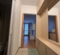 Flur in einer Ferienwohnung mit einem Schrank und einem Boden in Holzoptik.