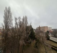 Verschneite Bäume und ein Wohngebiet in Dunajská Streda, in der Nähe einer Ferienwohnung.