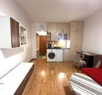 Ferienwohnung mit Einbauküche, rotem Sofa und Holzboden.