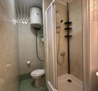 Badezimmer mit Toilette und Dusche in einer Ferienwohnung.