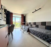 Einzimmerwohnung mit zwei Betten, einem Schreibtisch und Blick durch ein großes Fenster.