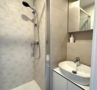 Duschkabine und Waschbecken mit Stauraum im Badezimmer des Einzimmerapartments.