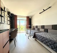 Einzimmerwohnung mit zwei Betten, einem Schreibtisch und Blick durch ein großes Fenster.