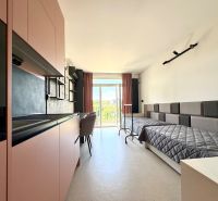 Einzimmerwohnung mit Küchenzeile und zwei Betten, Bodenbelag in Holzoptik.