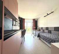 Einzimmerwohnung mit Bett, Küchenzeile und Balkontüren, Boden mit Holzdekor.