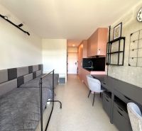 Einzimmerwohnung mit Bett, rosa Küche, Tisch und Stuhl im Innenraum.