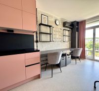Einzimmerwohnung mit rosa Küchenzeile, Arbeitstisch und Balkon mit Blick ins Grüne.