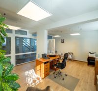 Ein Büro mit einem Holzboden, Pflanzen und moderner Beleuchtung. Besondere Immobilien.
