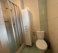 Badezimmer in einer 2-Zimmer-Wohnung mit Toilette, Duschkabine und weißem Schrank.
