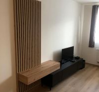 Holzdekor an der Wand, schwarzes TV-Regal und Boden mit Holzdekor in einer 2-Zimmer-Wohnung.