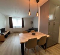 Helles Wohnzimmer mit Holzboden und Esstisch in einer Zwei-Zimmer-Wohnung.
