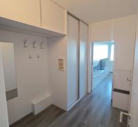 Der Flur einer Einzimmerwohnung mit einem Einbauschrank und einem Boden in Holzoptik.