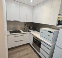 Küchenzeile in einer Einzimmerwohnung mit Geräten und einem Boden in Holzoptik.