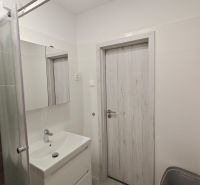 Badezimmer in einer Einzimmerwohnung mit weißem Waschbecken und Dusche, Boden mit Holzdekor.