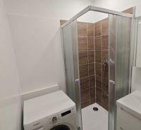 Badezimmer mit Dusche und Waschmaschine in einer Einzimmerwohnung.