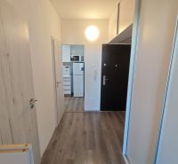 Der Flur in einer Einzimmerwohnung mit Holzboden und einem Einbauschrank.