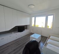 Innenraum einer Einzimmerwohnung mit weißen Schränken, Holzboden und großen Fenstern.