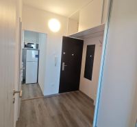 Eingangsflur mit Einbauschränken und Boden in Holzoptik in einer Einzimmerwohnung.