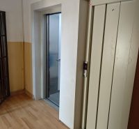 Flur mit Aufzug und Holzboden in einer Einzimmerwohnung.